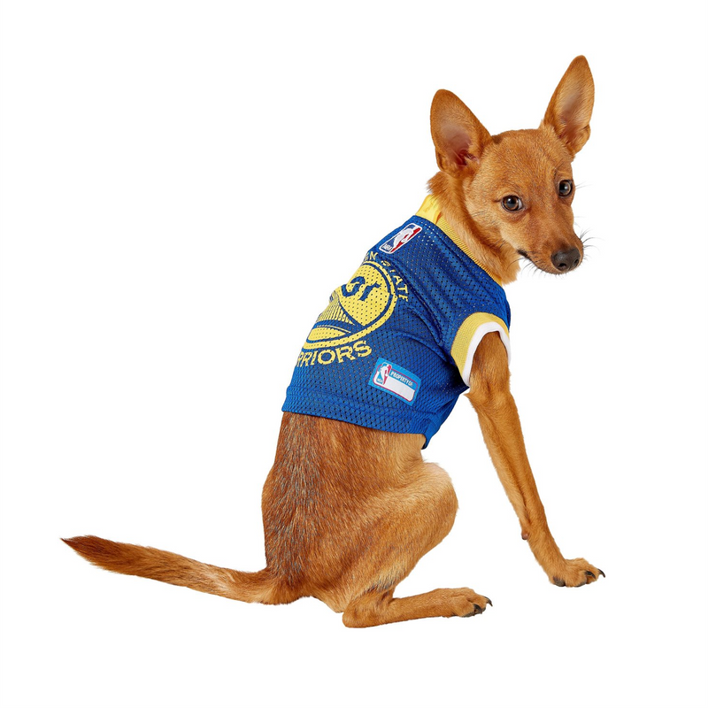 Golden State Warriors Dog Collar