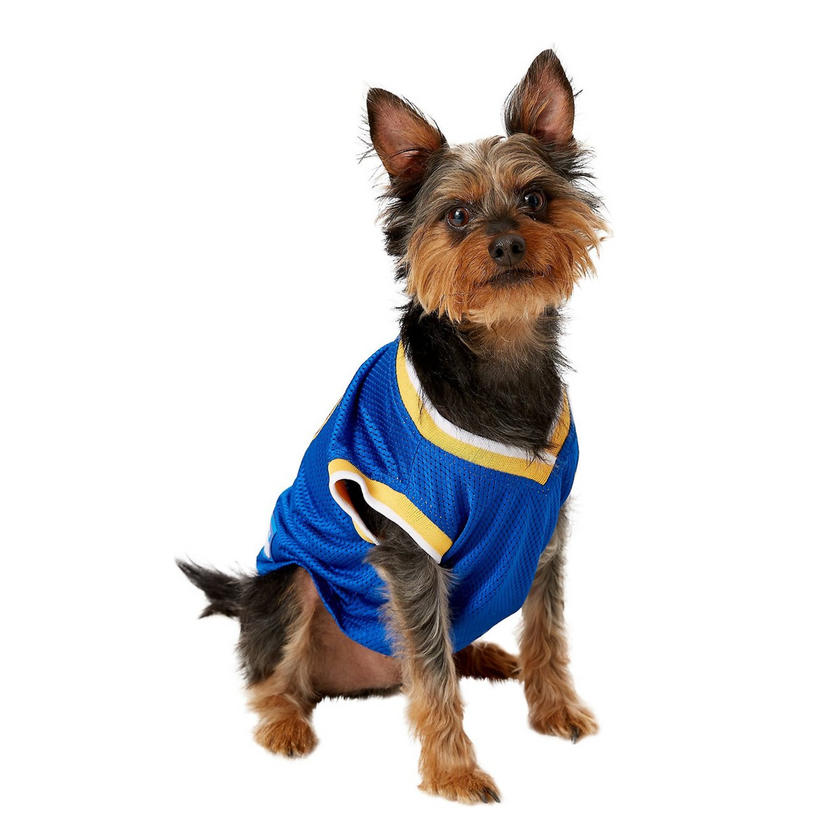 Golden state dog jersey hotsell