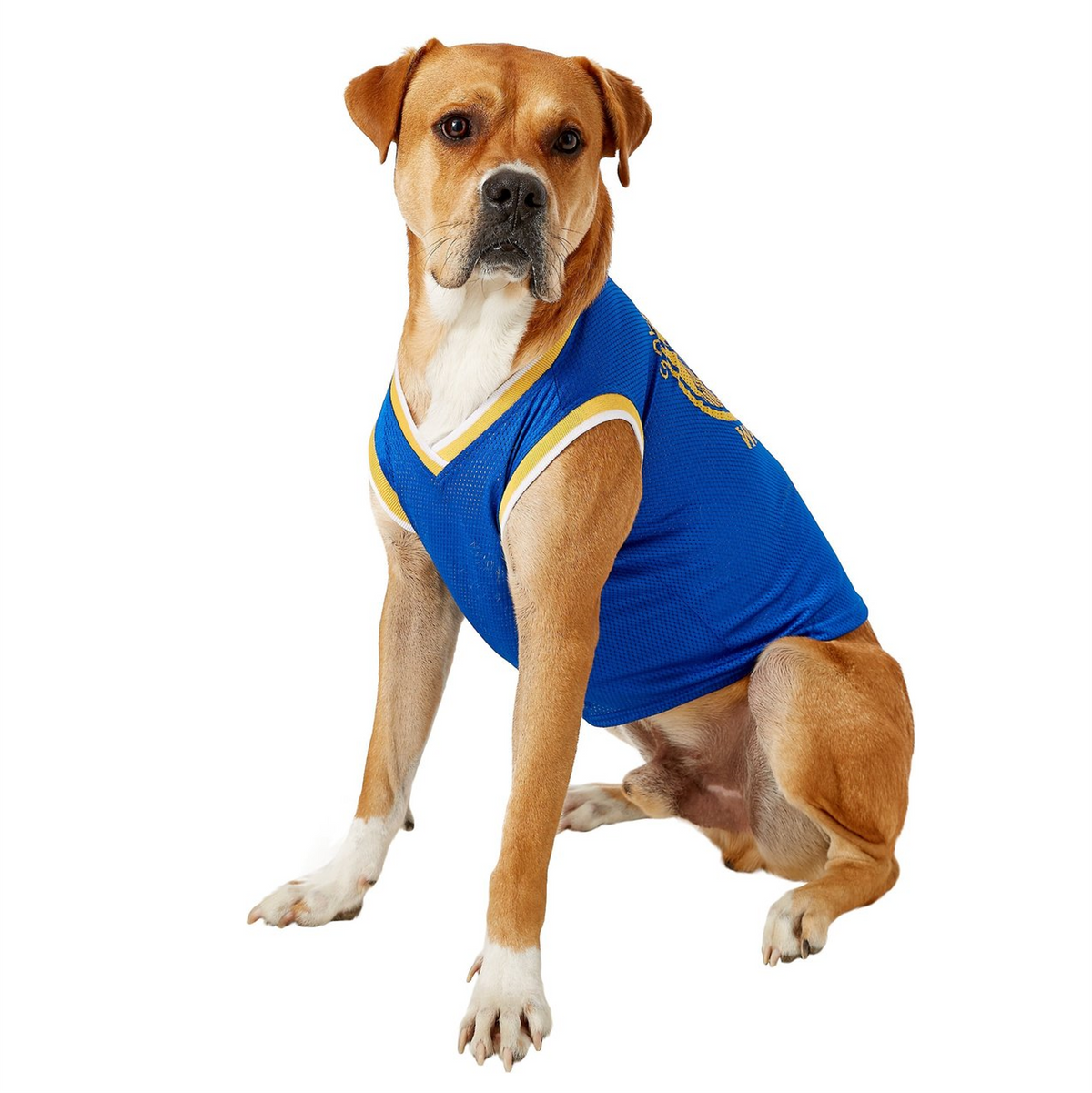 Warriors dog sweater best sale