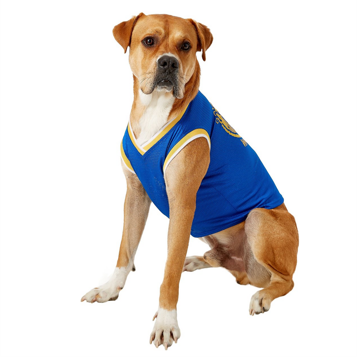 PETS FIRST NBA Dog & Cat Mesh Jersey, Los Angeles Lakers, Medium