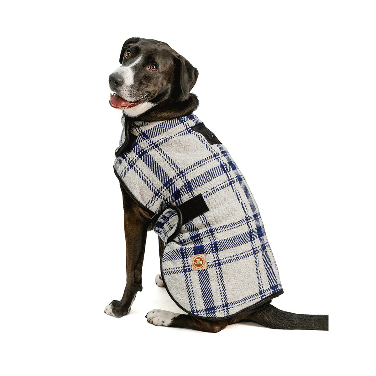 Grey and Blue Plaid Pet Blanket Coat - 3 Red Rovers