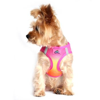 American River Choke Free Dog Harness™ Ombre - Raspberry Pink and Orange - 3 Red Rovers