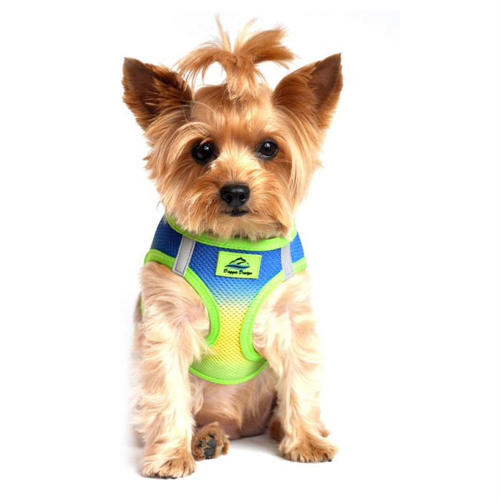 American River Choke Free Dog Harness™ Ombre - Cobalt Blue Sport - 3 Red Rovers