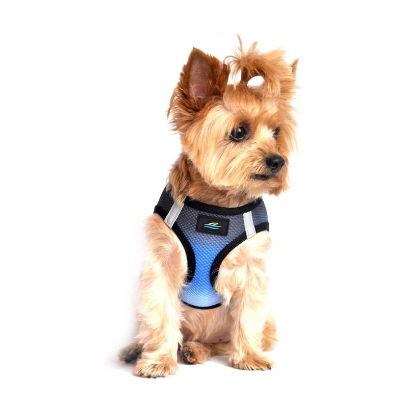 American River Choke Free Dog Harness™ Ombre - Midnight Sky - 3 Red Rovers