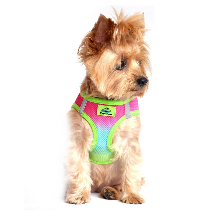 American River Choke Free Dog Harness™ Ombre - Rainbow - 3 Red Rovers