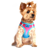 American River Choke Free Dog Harness™ Ombre - Sugar Plum - 3 Red Rovers