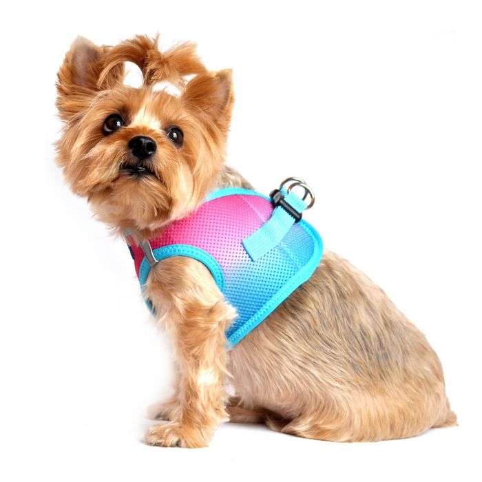 American River Choke Free Dog Harness™ Ombre - Sugar Plum - 3 Red Rovers