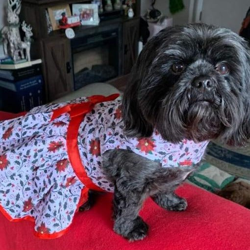 Holiday Holly Harness Dress with Leash - 3 Red Rovers