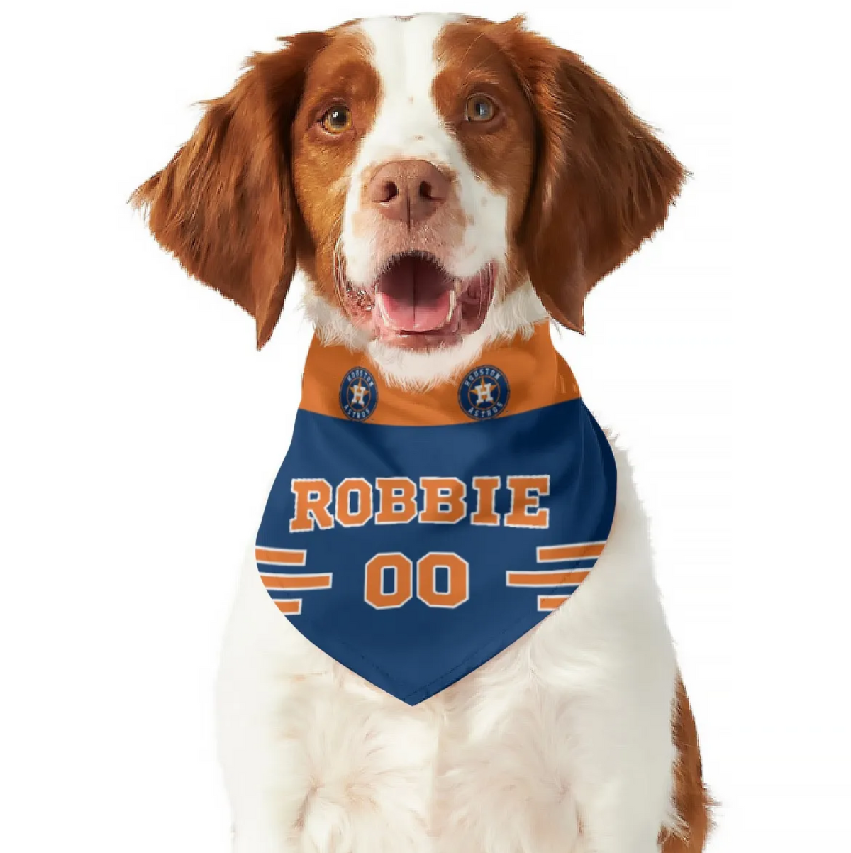 Astros dog bandana clearance