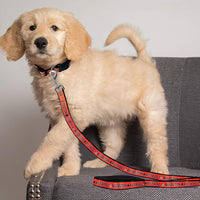 Houston Astros Dog Collar - Large - READY TO SHIP - 3 Red Rovers