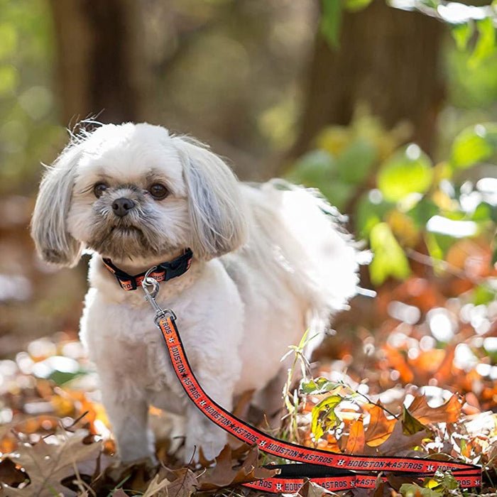 Houston Astros Dog Collar - Large - READY TO SHIP - 3 Red Rovers