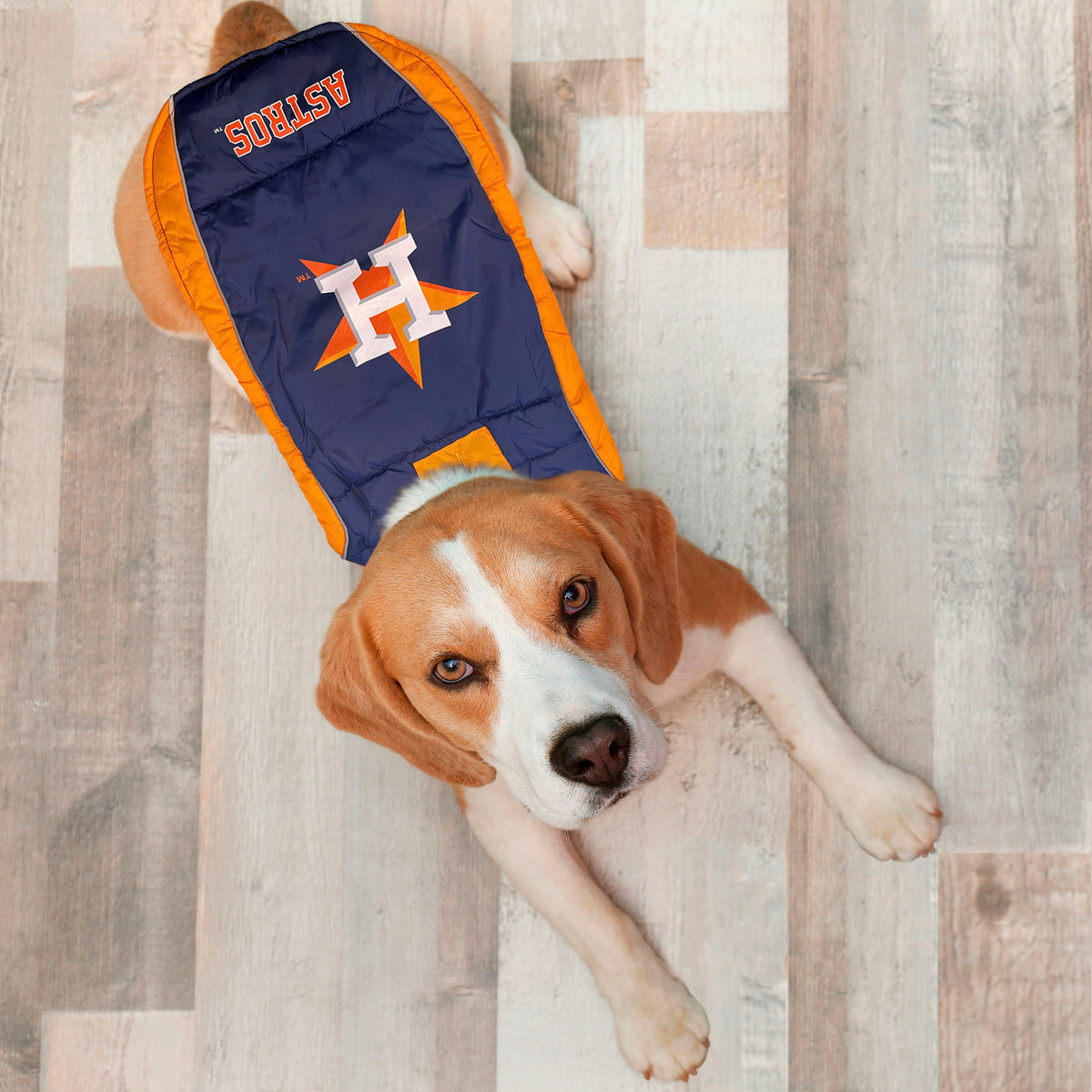Houston Astros Licensed Cat or Dog Jersey 
