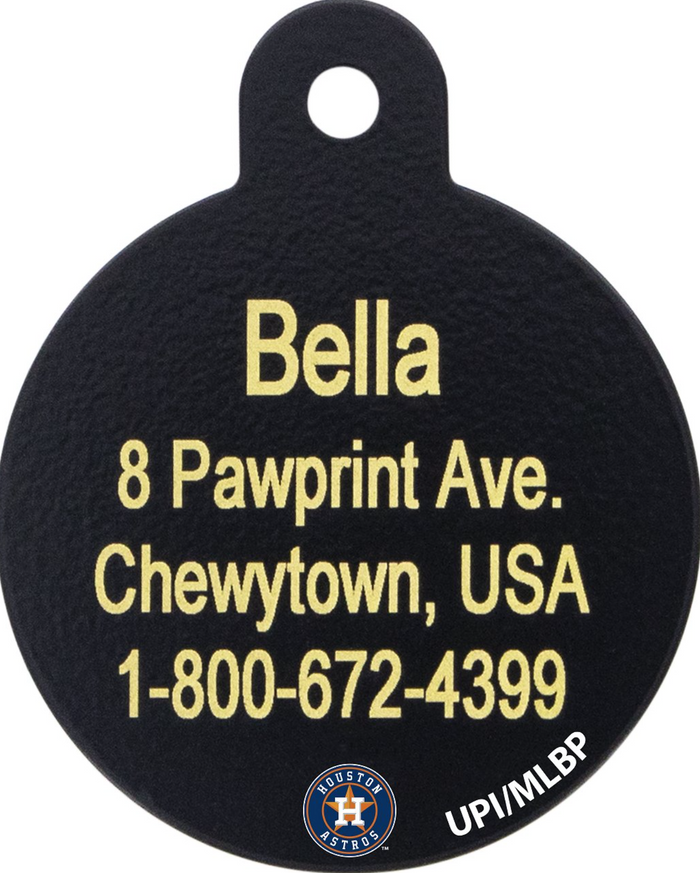Houston Astros Pet ID Tag