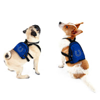 Indianapolis Colts Pet Mini Backpack - 3 Red Rovers
