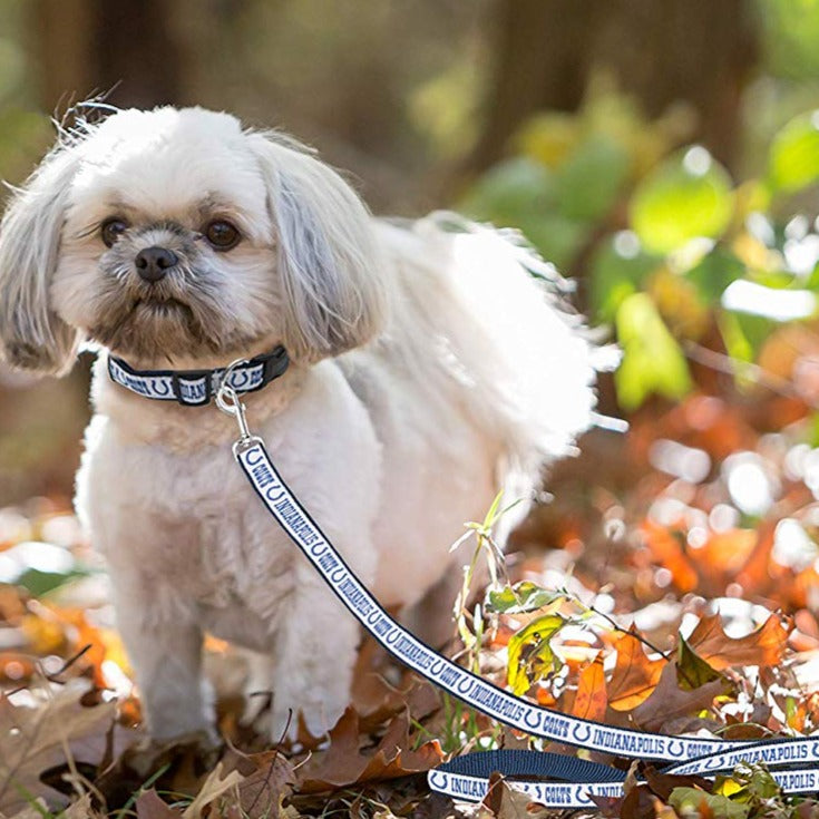 Indianapolis Colts Dog Collar or Leash