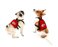 Kansas City Chiefs Pet Mini Backpack - 3 Red Rovers