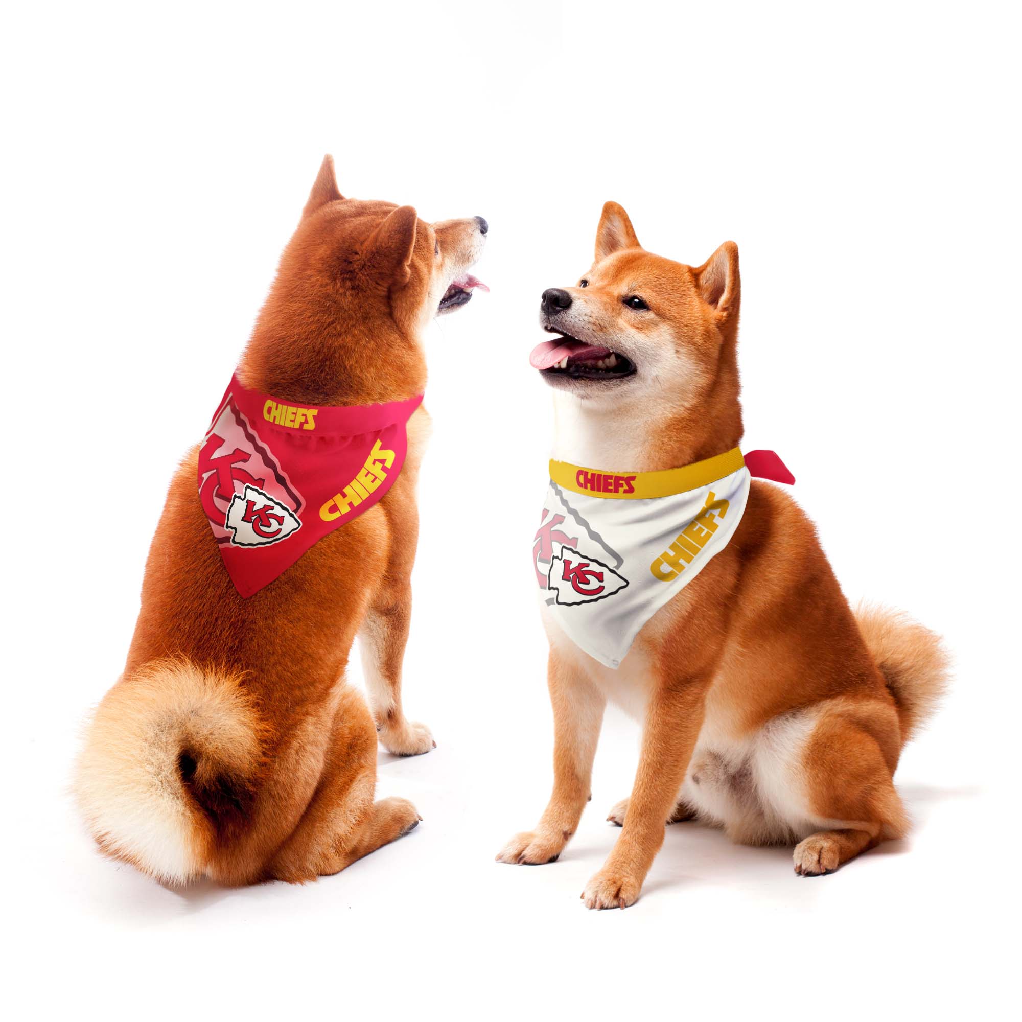 Chiefs dog best sale bandana