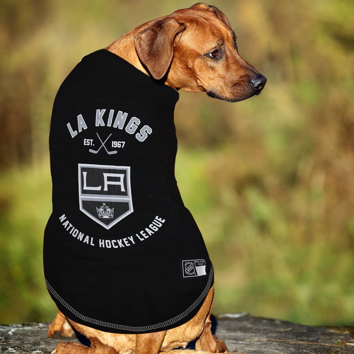 La kings deals jersey for dogs