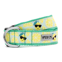 Lemons Collection Dog Collar or Leads - 3 Red Rovers