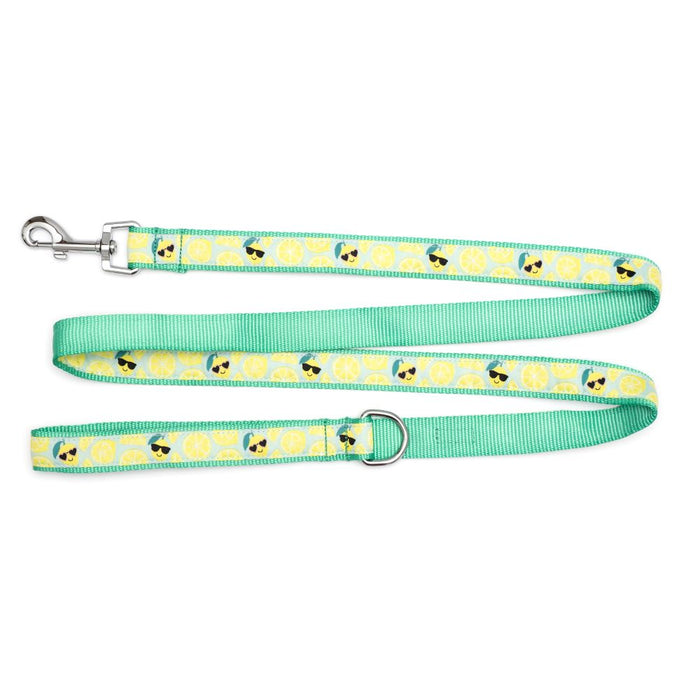 Lemons Collection Dog Collar or Leads - 3 Red Rovers