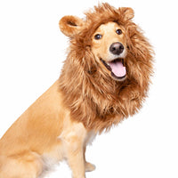 Lion Mane Hat Dog Costume - 3 Red Rovers