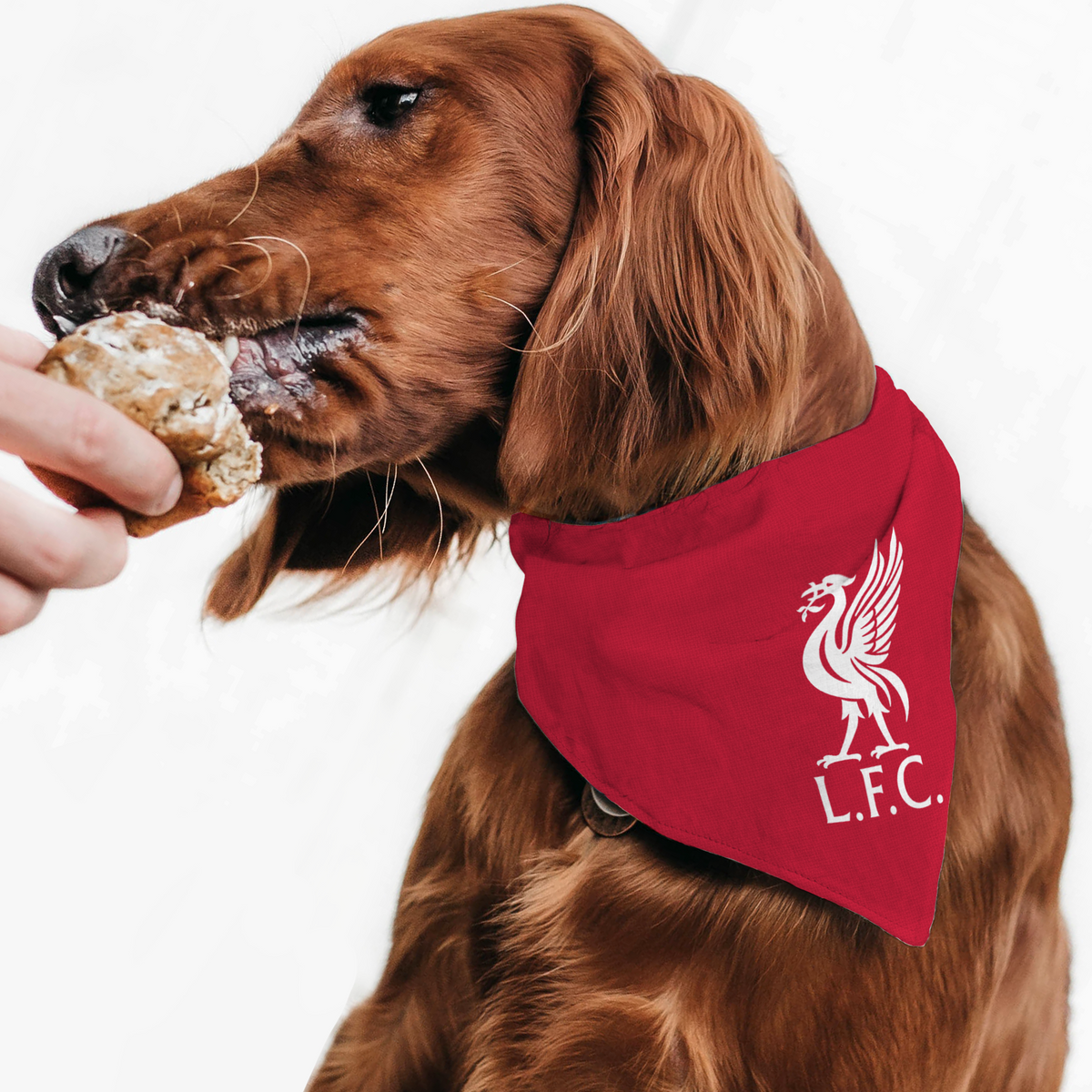 Liverpool FC 23 Home Inspired Premium Bandana