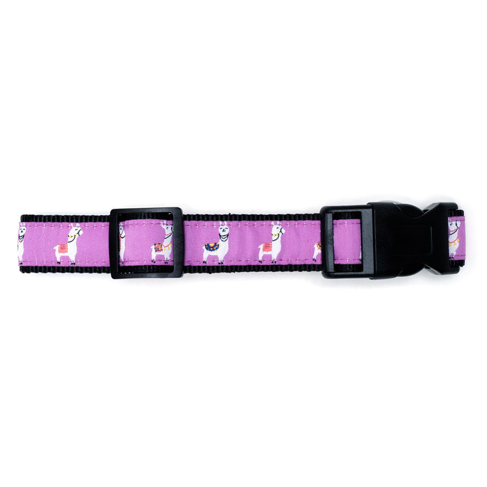 Llamas Collection Dog Collar or Leads - 3 Red Rovers