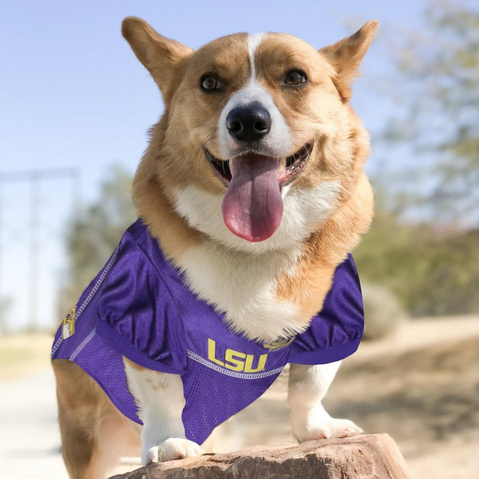 LSU Tigers Pet Jersey - 3 Red Rovers