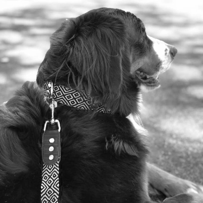 Artisan Herringbone Handmade Dog Collars