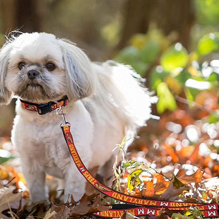 MD Terrapins Dog Leash - 3 Red Rovers