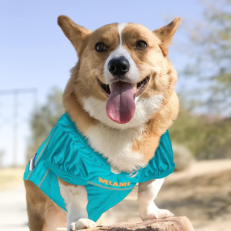 dolphins pet jersey