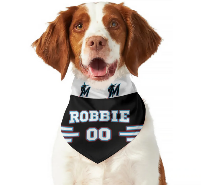 Miami Marlins 3 Red Rovers