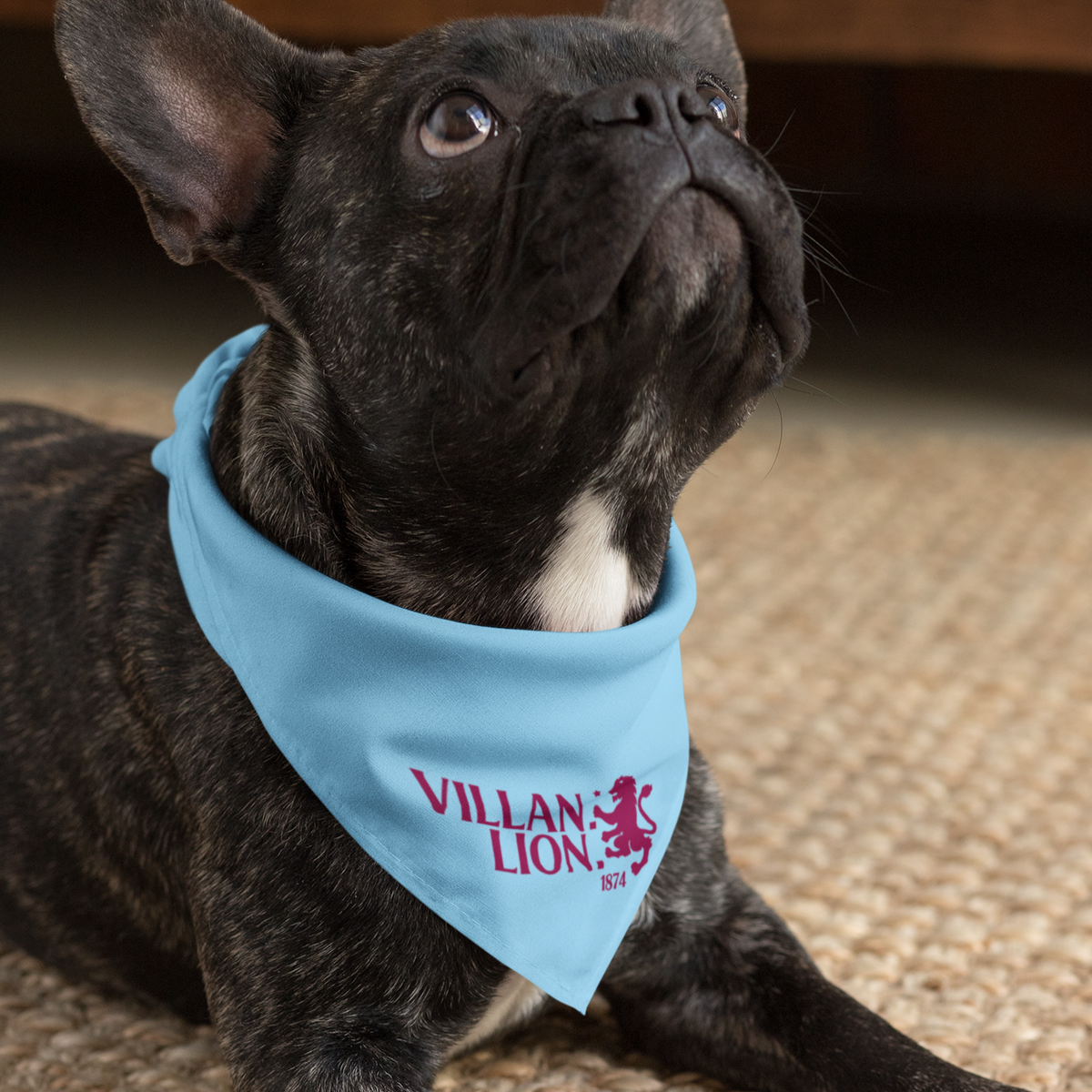 Aston villa dog deals bandana