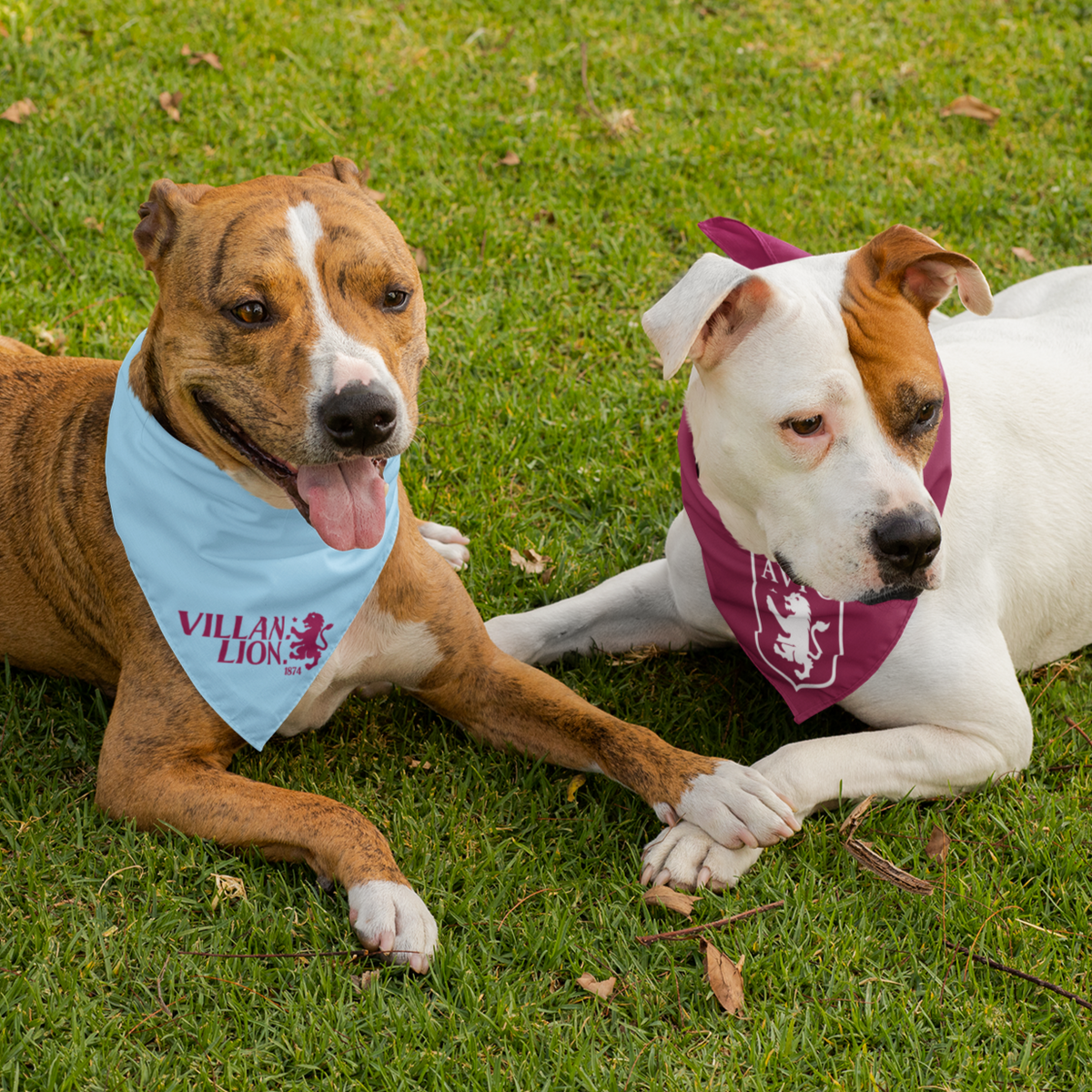 Aston villa dog deals bandana