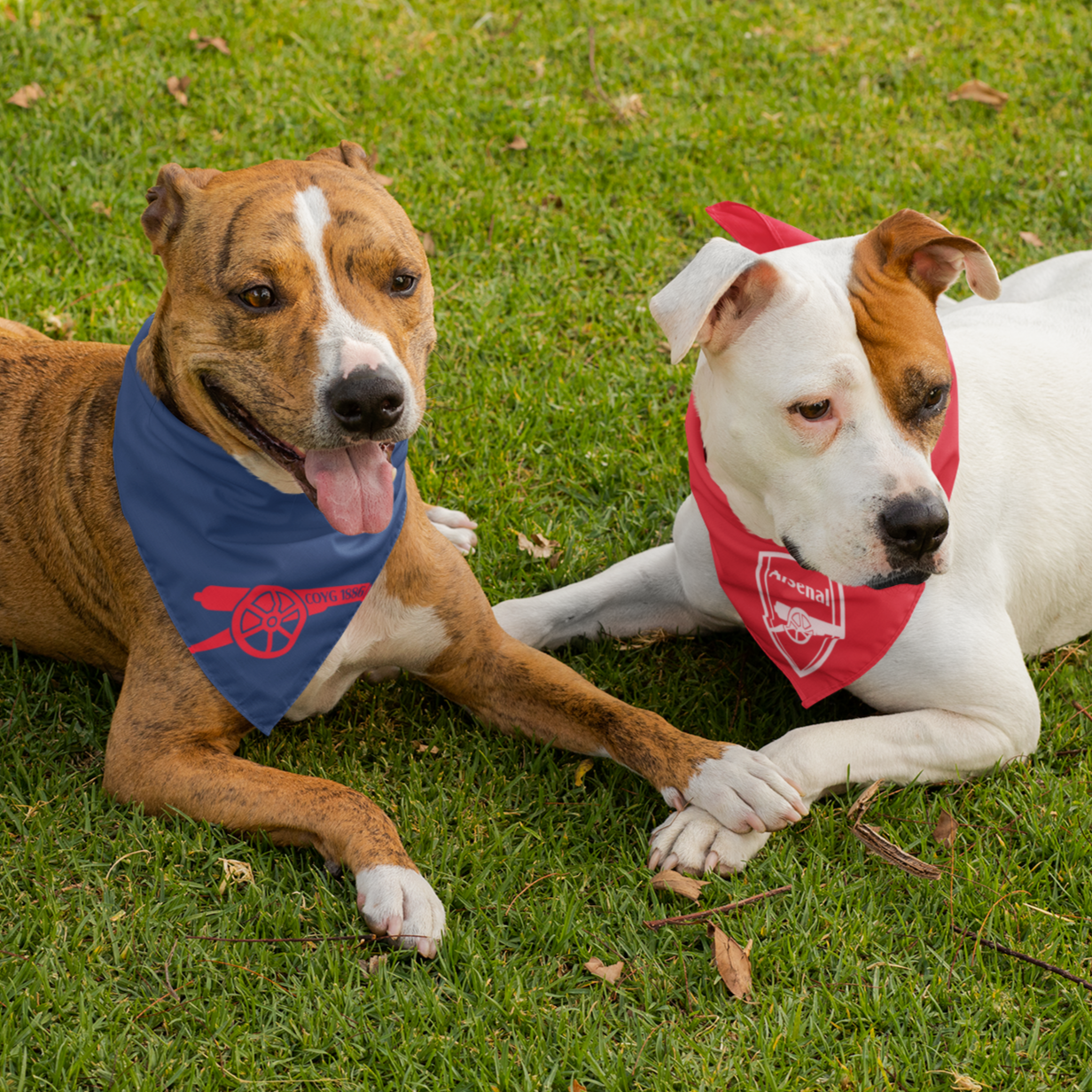 Arsenal dog bandana best sale