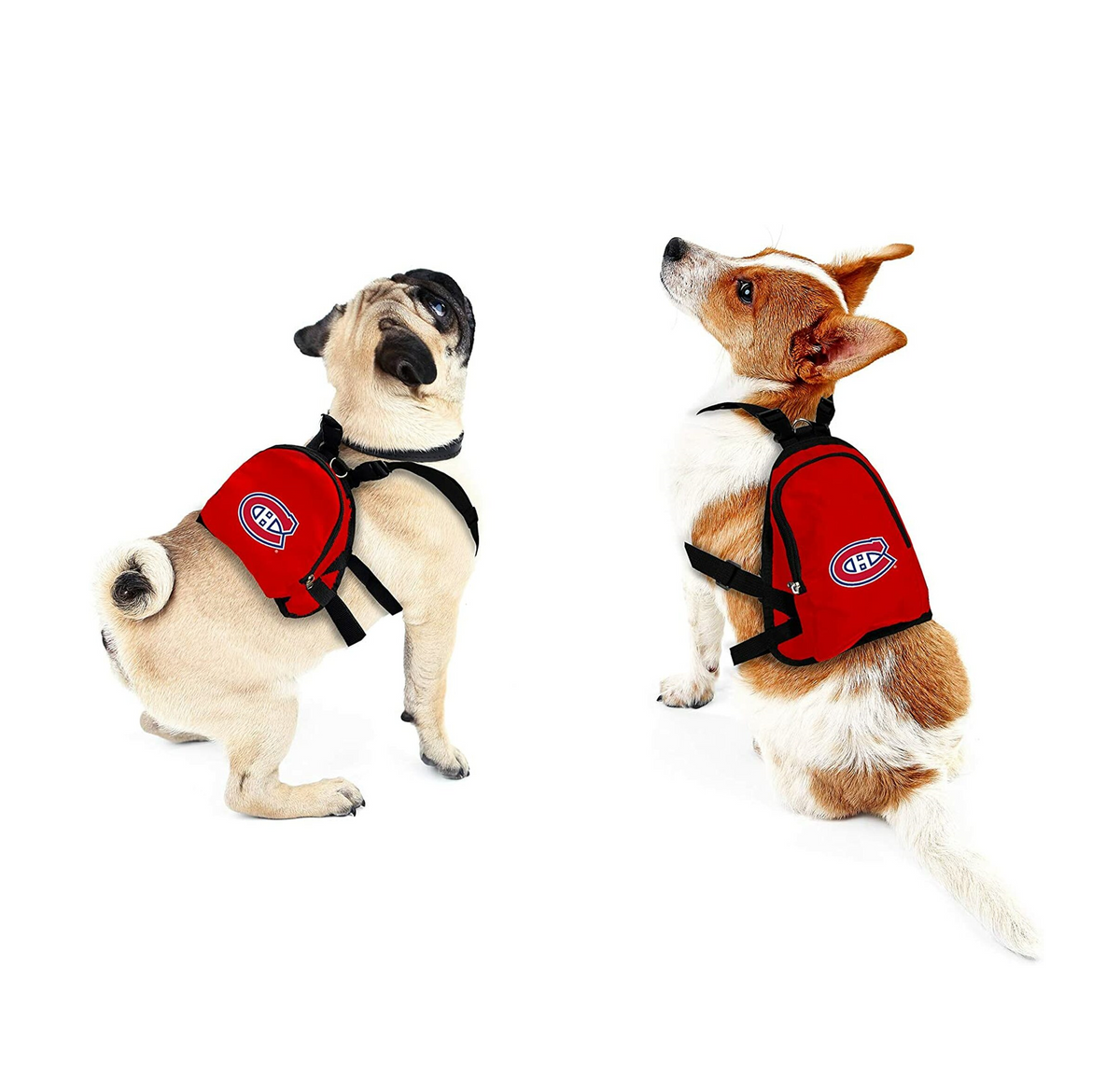 Montreal Canadiens Pet Mini Backpack - 3 Red Rovers