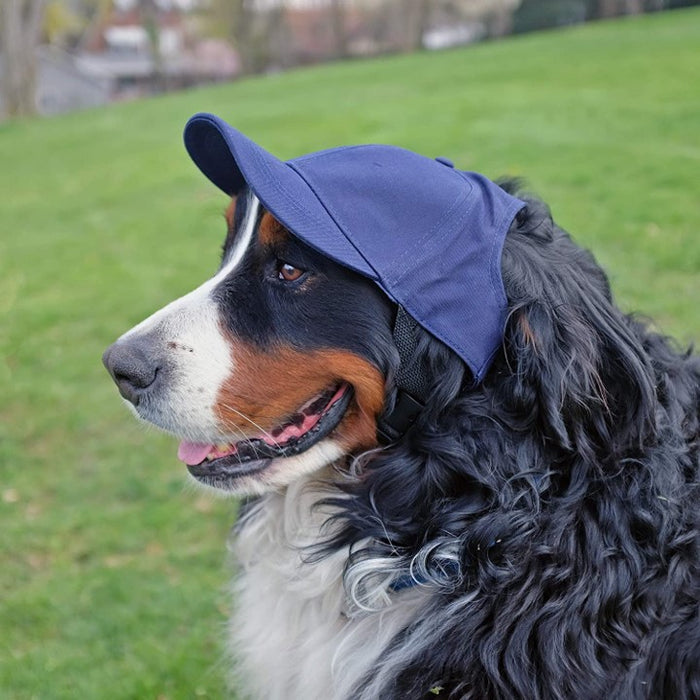 La Dodgers Dog Baseball Hat / Cap - Blue - Medium