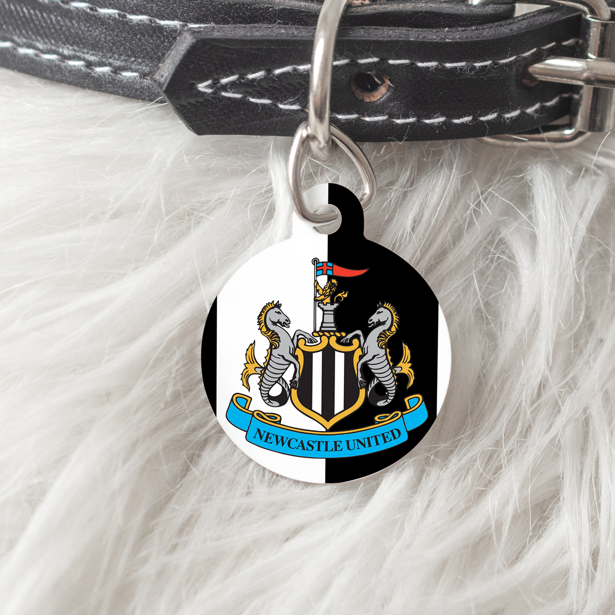 Jacksonville Jaguars Bone Pet ID Tag