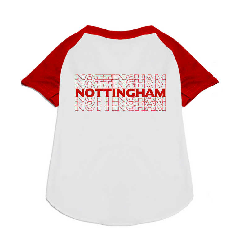 Nottingham Forest FC Handmade Raglan Graphic Tee