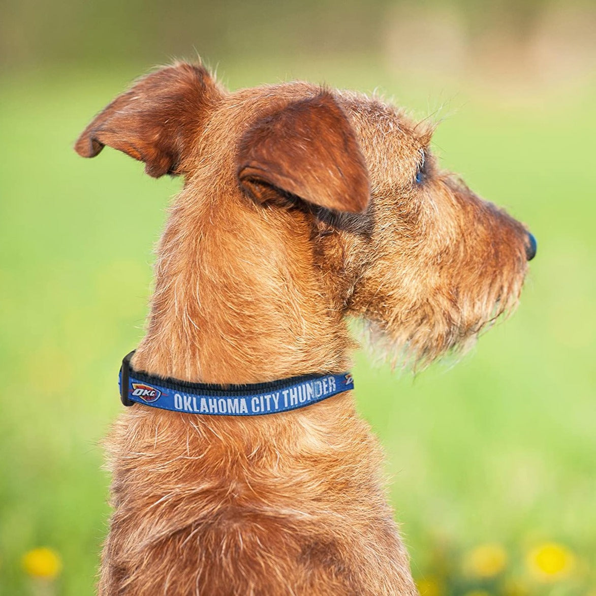 Thunder best sale dog collar