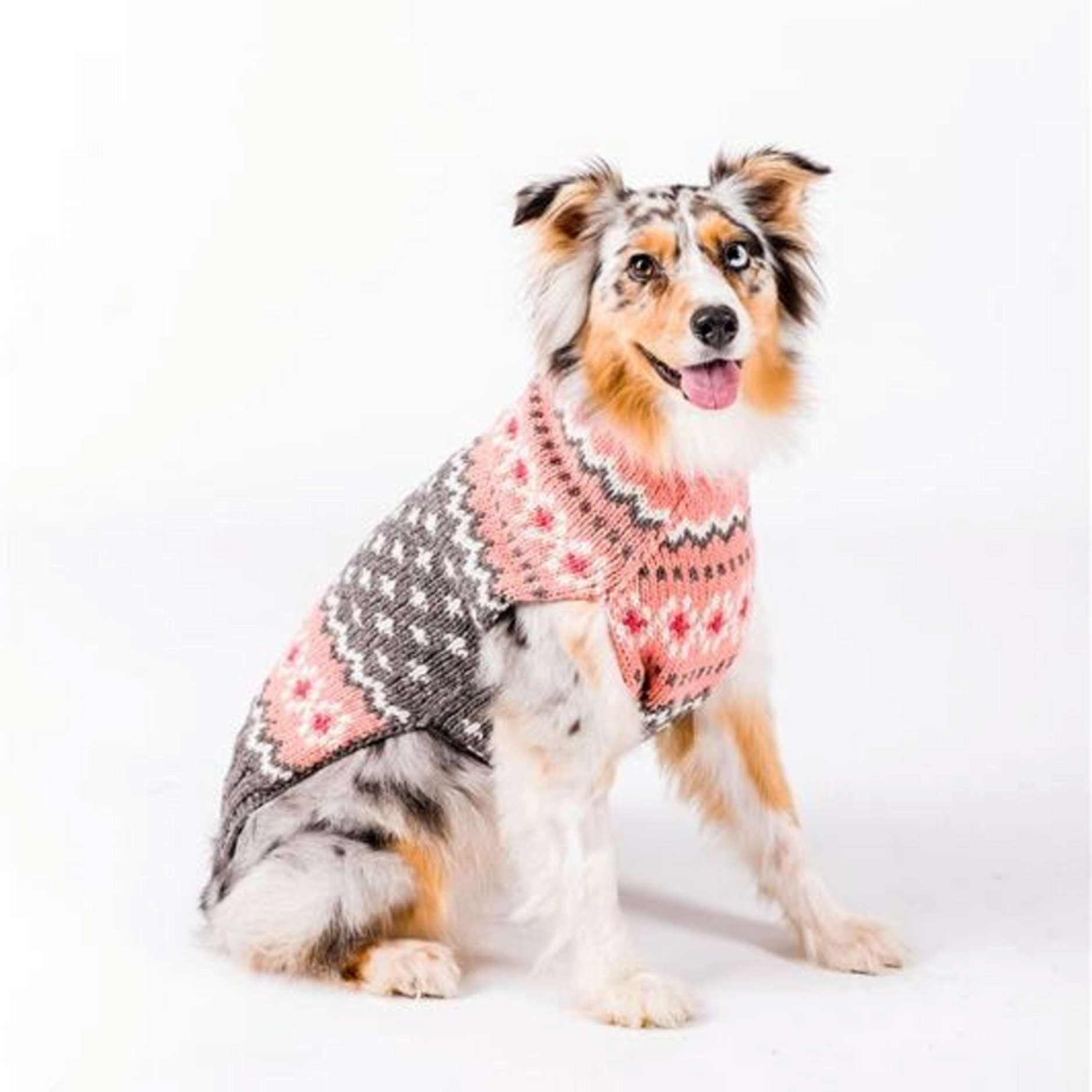 Chilly Dog Ragg Wool Fairisle Dog Sweater, X-Small