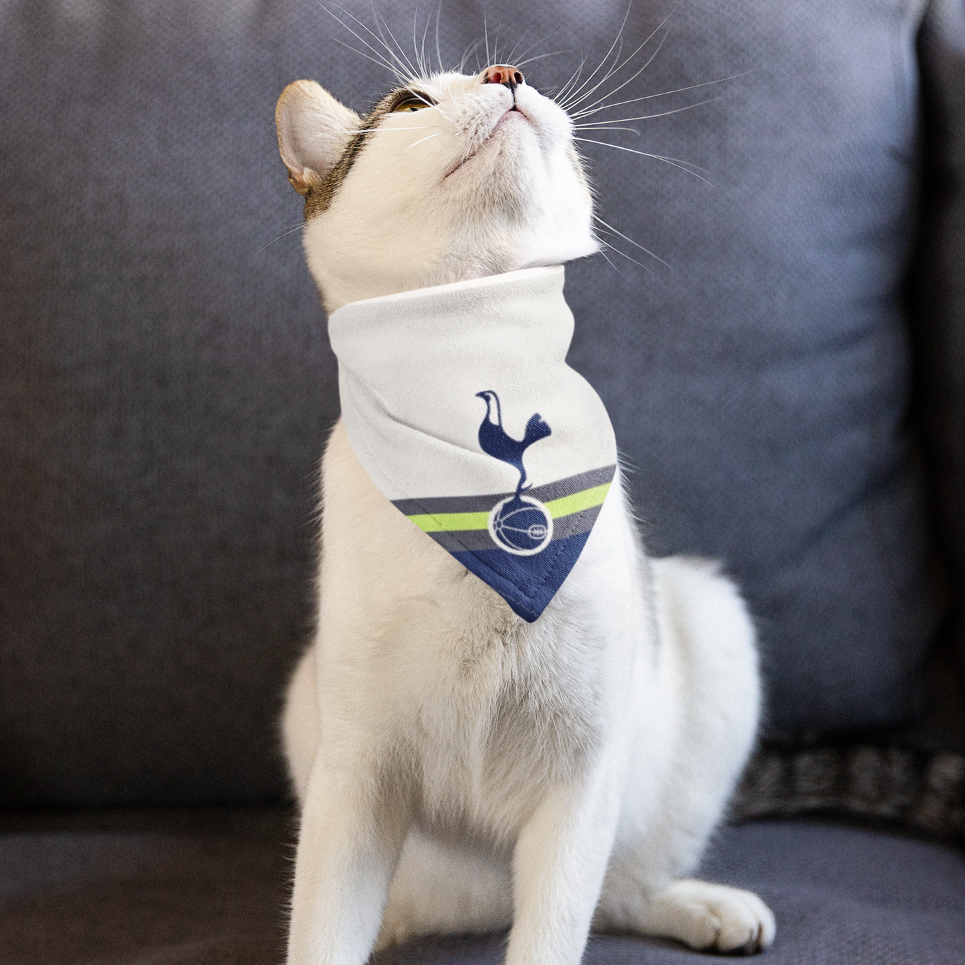 Tottenham hotspur dog bandana best sale