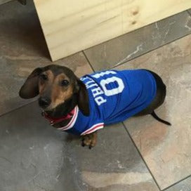 Dog Sweater Sixers Dog Collar Philadelphia 76ers Basketball Dog