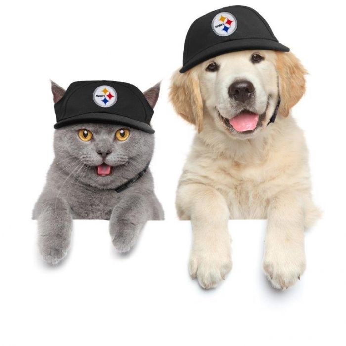 Pittsburgh Steelers Pet Baseball Hat - 3 Red Rovers