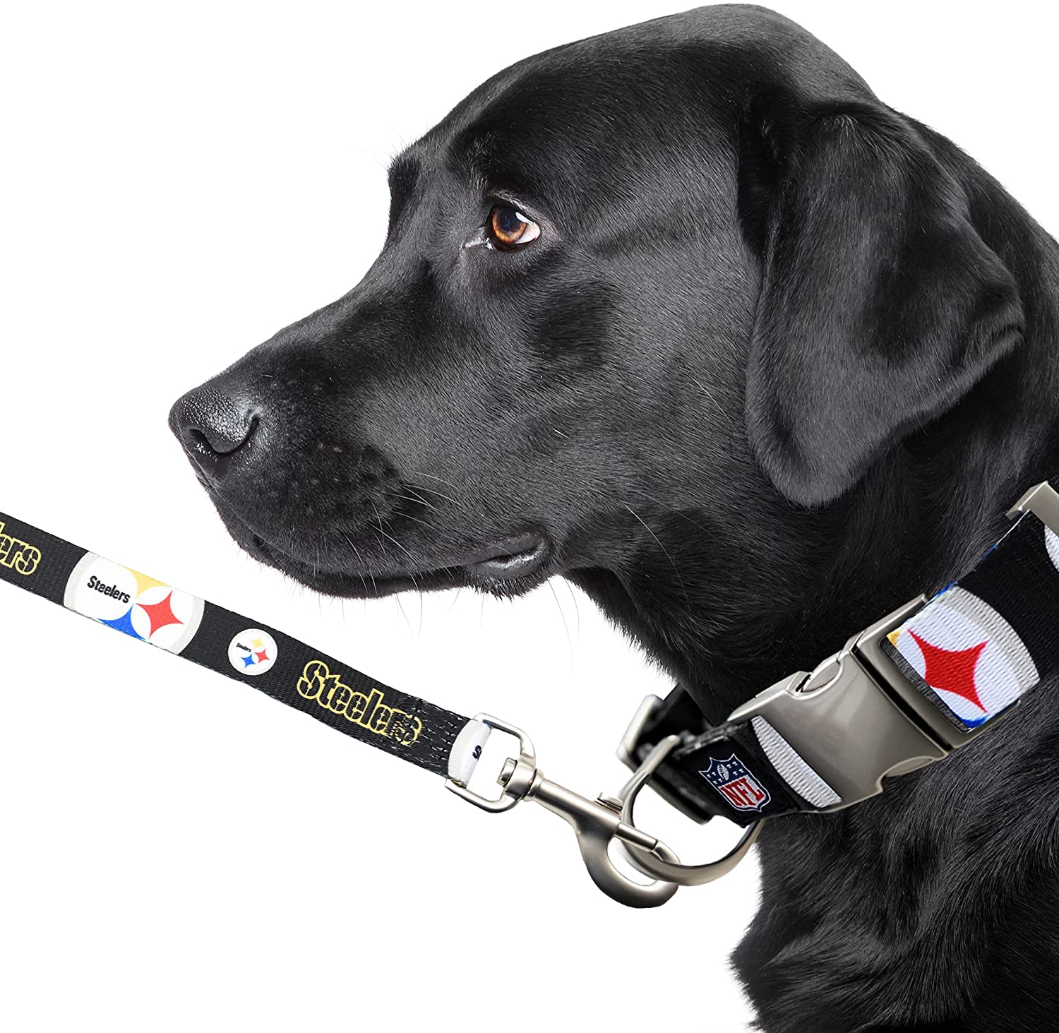 Steelers dog collar and cheap leash