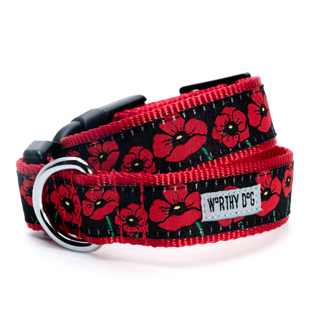 Poppies Collection Dog Collar or Leads - 3 Red Rovers