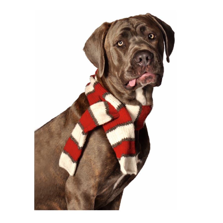 Red Striped Scarf - 3 Red Rovers
