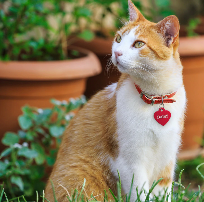 Red Aluminum Heart Pet ID Tags - 2 sizes - 3 Red Rovers