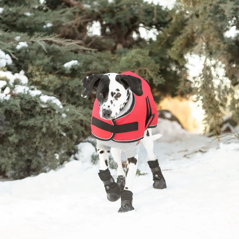 Waterproof Dog Blanket Jacket - Red