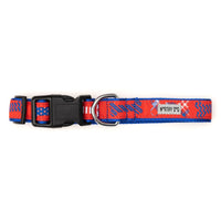 Red/White/Blue Preppy Bones Collection Dog Collar or Leads - 3 Red Rovers